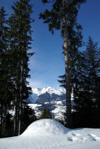 imgp2446.jpg