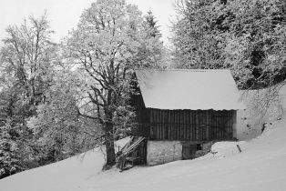 imgp6913-20100105-k10.jpg