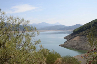 mad-9419-riano-copie.jpg