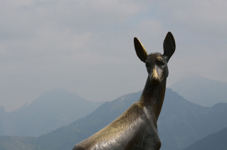 mad-9444-picos-de-europa.jpg