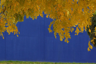 couleurs1.jpg