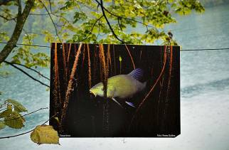 mad-5736-bled-r.jpg