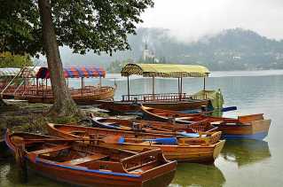 mad-5764-bled-r.jpg