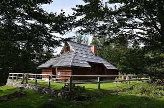 mad-6100-kamnik.jpg