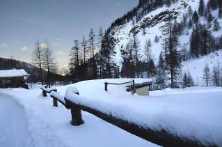 mad-7844-r-r.jpg