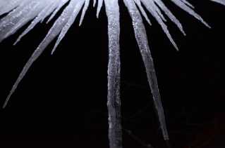 mad-7881-r.jpg