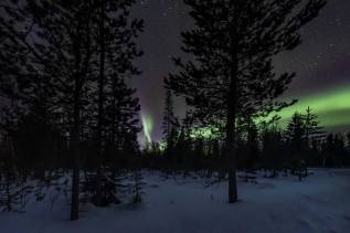 -maf5932-r.jpg