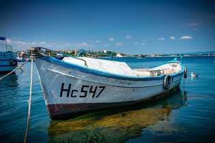 303--maf7137-l.jpg