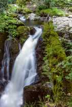 _maf9278-lr.jpg